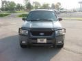 2002 Black Clearcoat Ford Escape XLT V6 4WD  photo #3