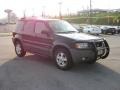 2002 Black Clearcoat Ford Escape XLT V6 4WD  photo #4