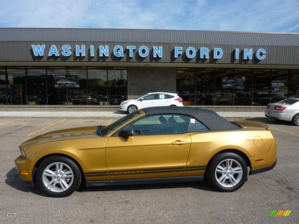 2010 Mustang V6 Premium Convertible - Sunset Gold Metallic / Charcoal Black photo #1