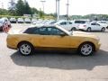 2010 Sunset Gold Metallic Ford Mustang V6 Premium Convertible  photo #5