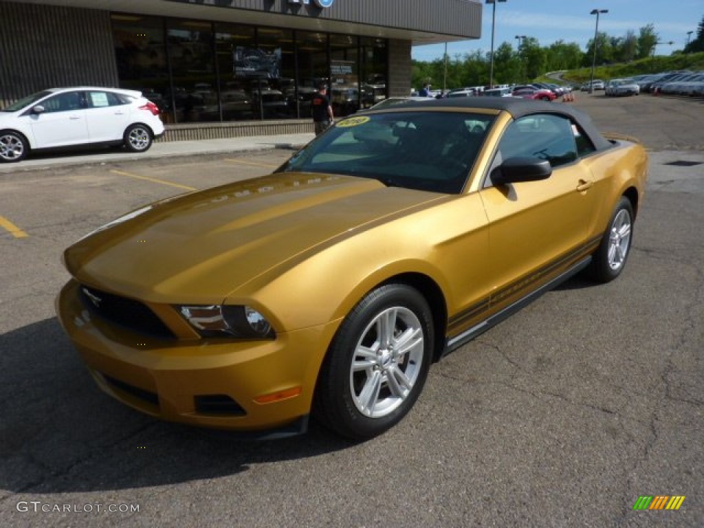 2010 Mustang V6 Premium Convertible - Sunset Gold Metallic / Charcoal Black photo #8