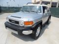 Titanium Metallic - FJ Cruiser  Photo No. 7