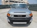 Titanium Metallic - FJ Cruiser  Photo No. 8