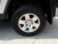 Titanium Metallic - FJ Cruiser  Photo No. 16