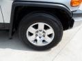 Titanium Metallic - FJ Cruiser  Photo No. 18