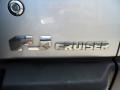 Titanium Metallic - FJ Cruiser  Photo No. 24