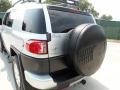 Titanium Metallic - FJ Cruiser  Photo No. 26