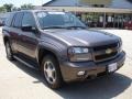 2008 Desert Brown Metallic Chevrolet TrailBlazer LT  photo #3