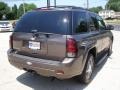 Desert Brown Metallic - TrailBlazer LT Photo No. 4