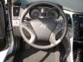 Iridescent Silver Blue Metallic - Sonata GLS Photo No. 14