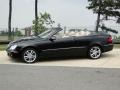Black - CLK 350 Cabriolet Photo No. 9