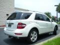 Arctic White - ML 350 4Matic Photo No. 6
