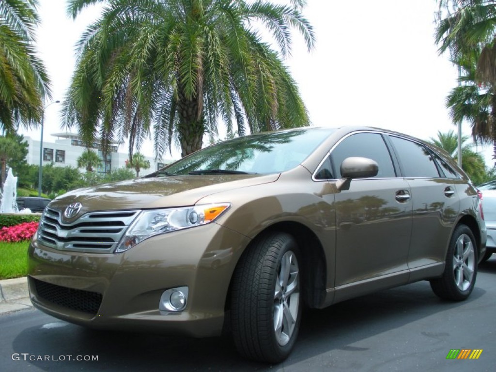 Golden Umber Mica 2010 Toyota Venza V6 AWD Exterior Photo #50204310