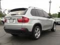 2008 Titanium Silver Metallic BMW X5 3.0si  photo #4