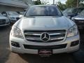 Iridium Silver Metallic - GL 450 Photo No. 15