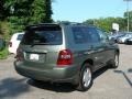 Oasis Green Pearl - Highlander Limited 4WD Photo No. 10