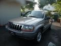 1999 Champagne Pearl Jeep Grand Cherokee Laredo  photo #1