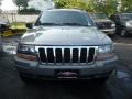 Champagne Pearl - Grand Cherokee Laredo Photo No. 13