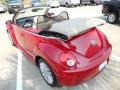 Salsa Red - New Beetle SE Convertible Photo No. 29