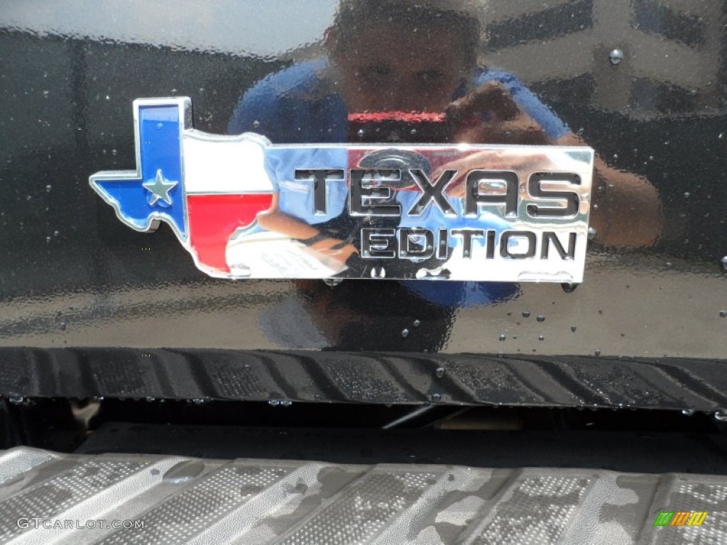 2011 F150 Texas Edition SuperCrew - Tuxedo Black Metallic / Steel Gray photo #19