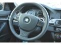 2011 BMW 5 Series Black Interior Steering Wheel Photo