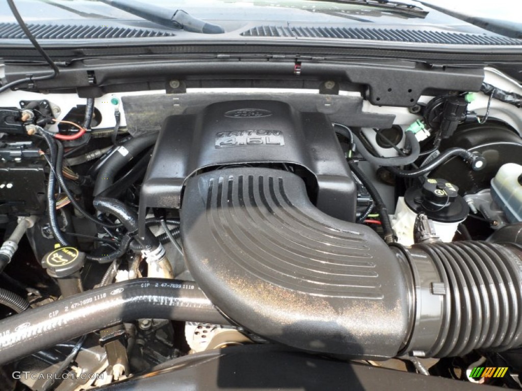 2003 Ford F150 XLT SuperCrew 4.6 Liter SOHC 16V Triton V8 Engine Photo #50229501