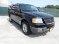 Black Clearcoat - Expedition XLT Photo No. 1