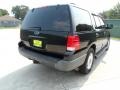 Black Clearcoat - Expedition XLT Photo No. 3