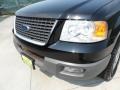Black Clearcoat - Expedition XLT Photo No. 12