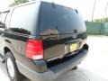 Black Clearcoat - Expedition XLT Photo No. 21