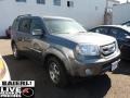Polished Metal Metallic - Pilot Touring 4WD Photo No. 1