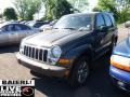 2005 Dark Khaki Pearl Jeep Liberty Limited 4x4  photo #3