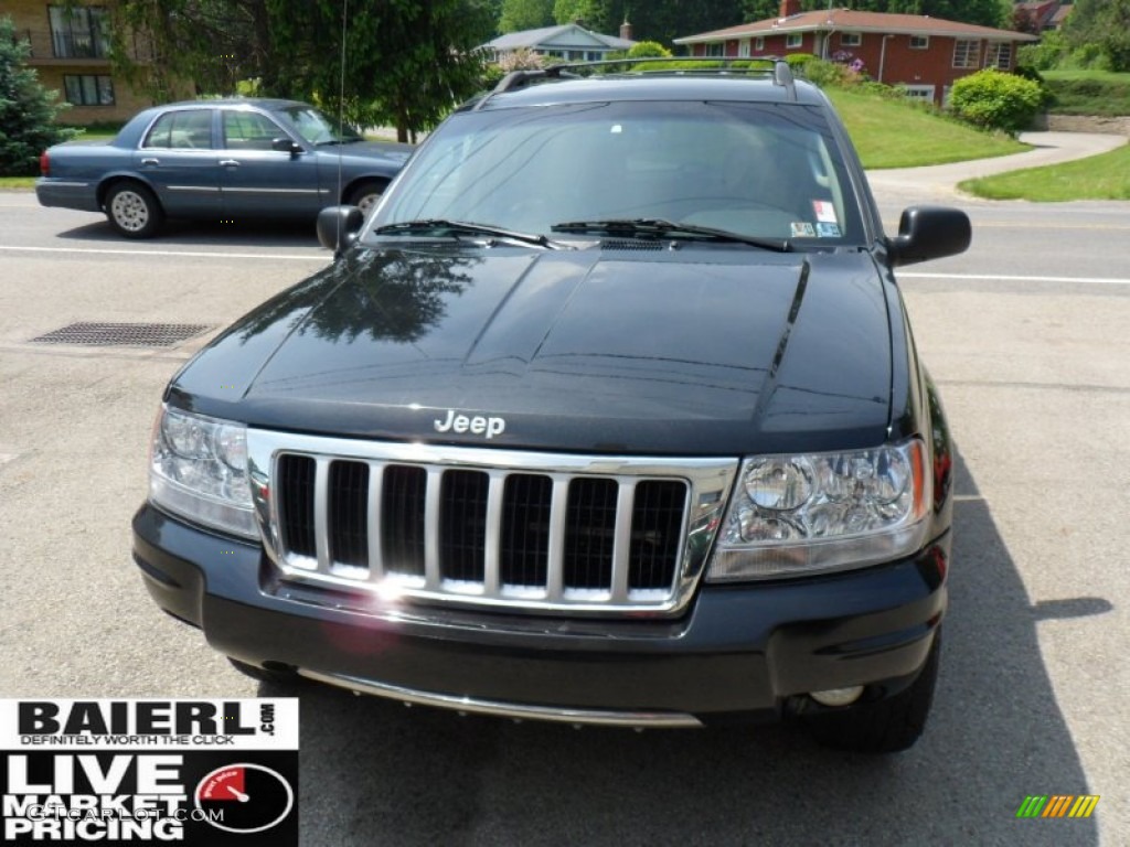 2004 Grand Cherokee Limited 4x4 - Brillant Black Crystal Pearl / Dark Slate Gray photo #2
