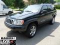 2004 Brillant Black Crystal Pearl Jeep Grand Cherokee Limited 4x4  photo #3