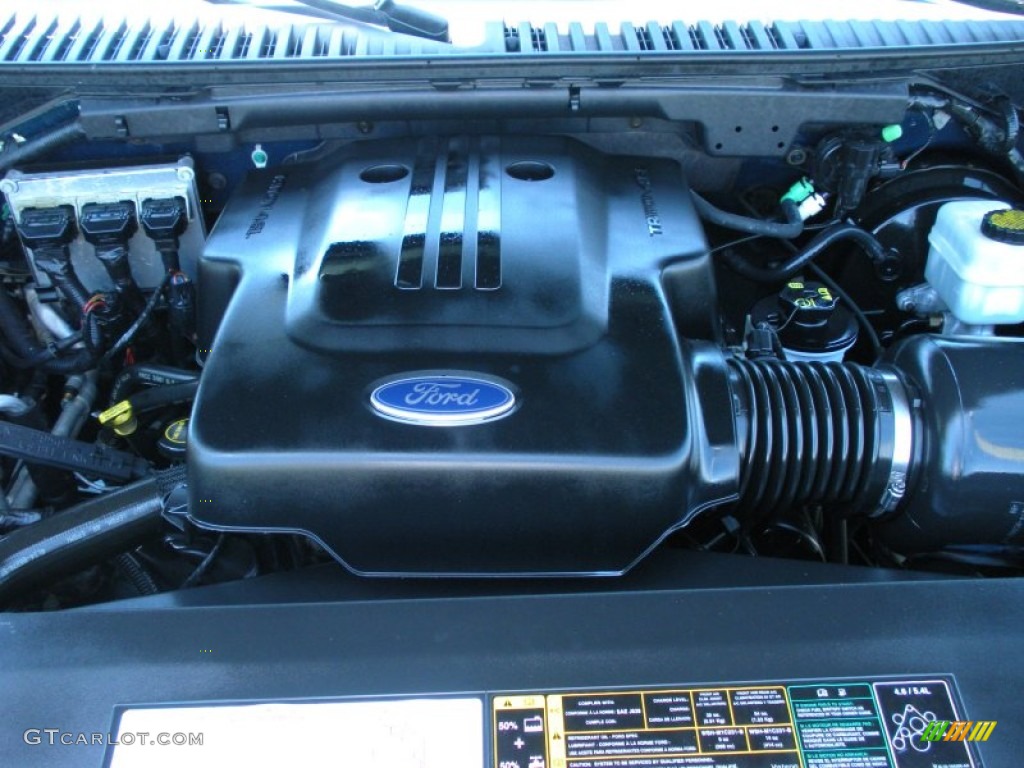 2004 Ford Expedition XLT 4.6 Liter SOHC 16-Valve Triton V8 Engine Photo #50237584