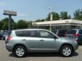 Everglade Metallic - RAV4 4WD Photo No. 1