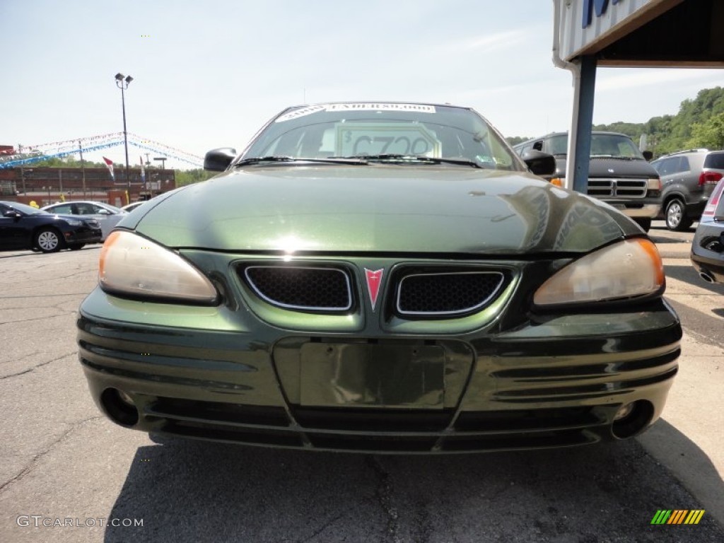 2000 Grand Am SE Sedan - Spruce Green Metallic / Dark Pewter photo #3