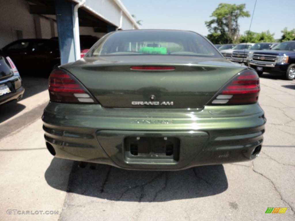 2000 Grand Am SE Sedan - Spruce Green Metallic / Dark Pewter photo #7