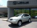 Bamboo Pearl - RX 350 AWD Photo No. 1