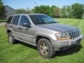 Champagne Pearl - Grand Cherokee Laredo 4x4 Photo No. 8