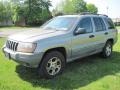 1999 Champagne Pearl Jeep Grand Cherokee Laredo 4x4  photo #10