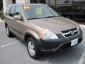 2003 Mojave Mist Metallic Honda CR-V EX 4WD  photo #2