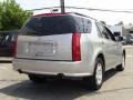 Light Platinum - SRX 4 V6 AWD Photo No. 3