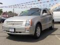 Light Platinum - SRX 4 V6 AWD Photo No. 6