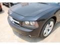 Brilliant Black Crystal Pearl - Charger R/T Photo No. 11