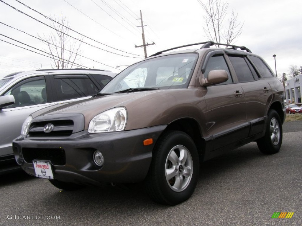 2005 Santa Fe GLS - Mocha Frost Beige / Beige photo #1