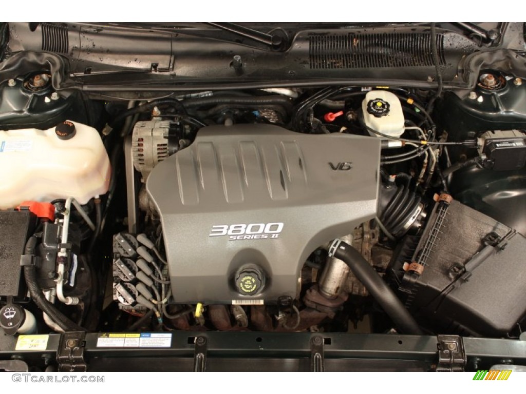 2001 LeSabre Custom - Dark Polo Green Metallic / Taupe photo #16