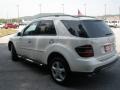 Arctic White - ML 350 4Matic Photo No. 5