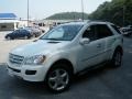 Arctic White - ML 350 4Matic Photo No. 7