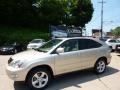 Savannah Metallic - RX 350 AWD Photo No. 1